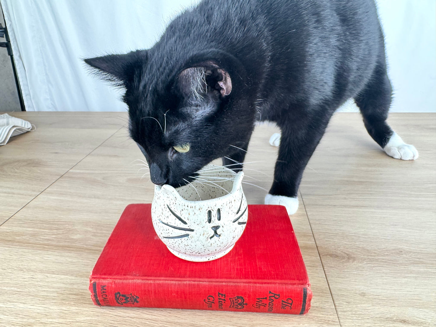 6 oz Little Kitty Mug, White