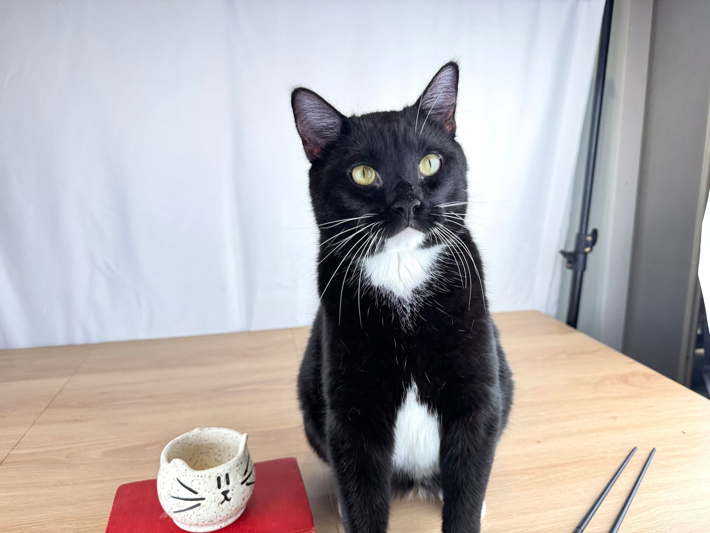 6 oz Little Kitty Mug, White